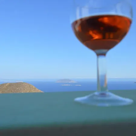 The Anafians 아나피